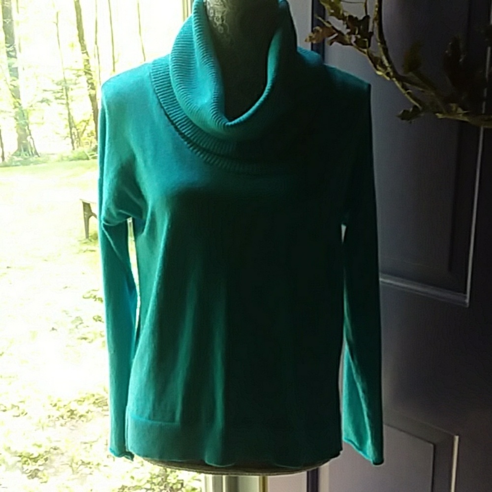 JCPenny Cashmere blend Sweater
